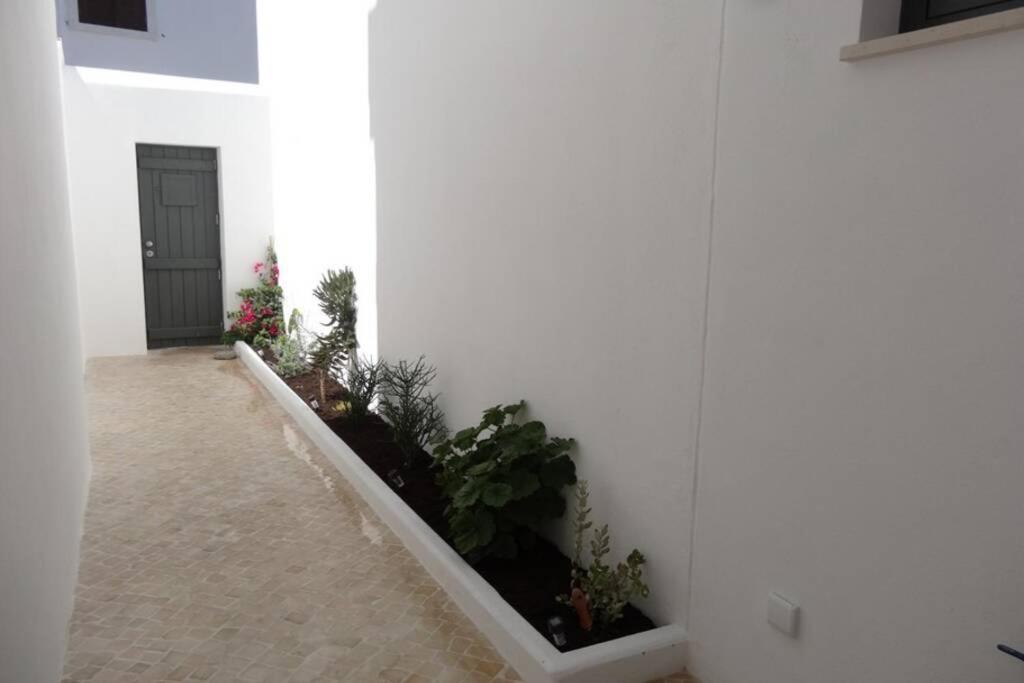 Ti Antonieta Villa Tavira Esterno foto