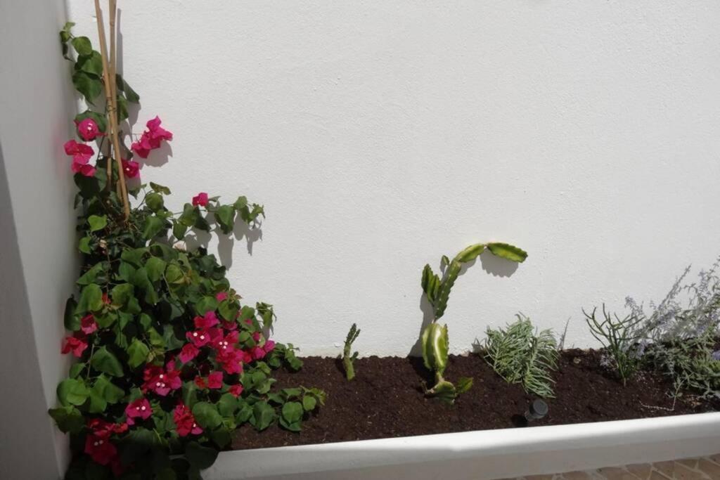Ti Antonieta Villa Tavira Esterno foto